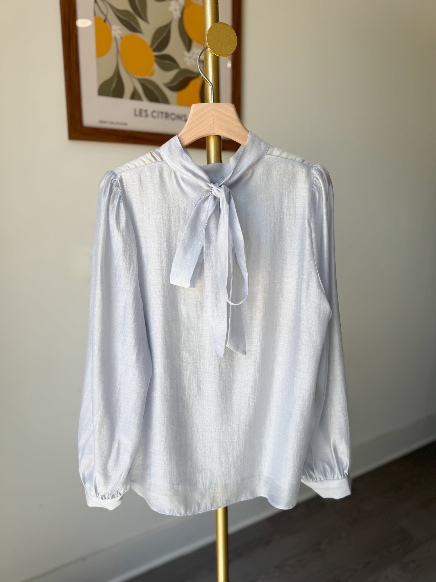 Tie Scarf Blouse(~5/12)