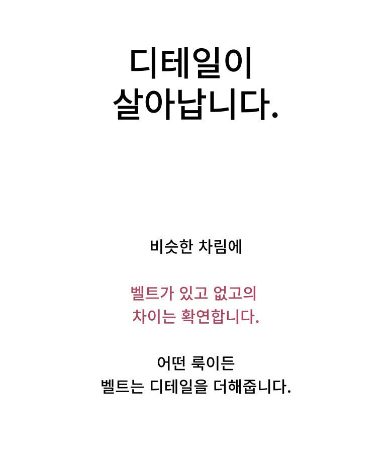 Cowhide Silver Nohole Belt