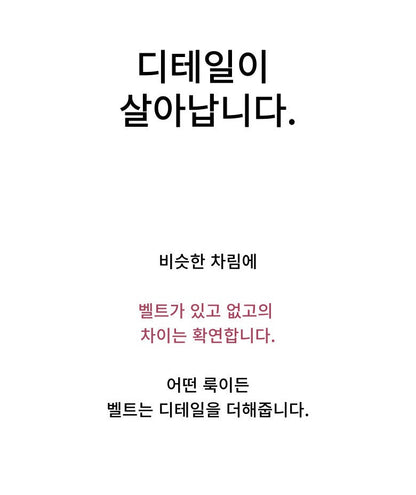 Cowhide Silver Nohole Belt