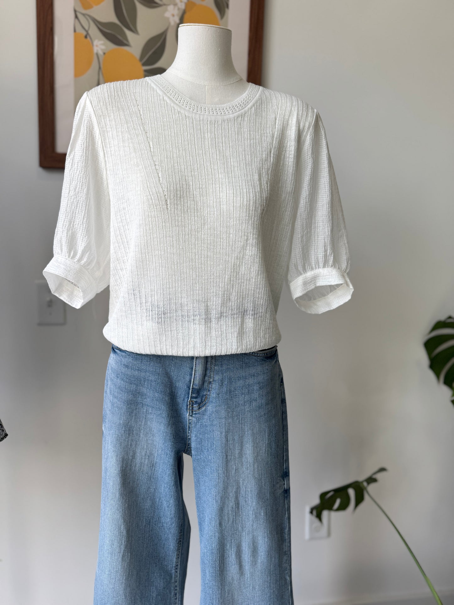Soft Sleeve Knit Blouse