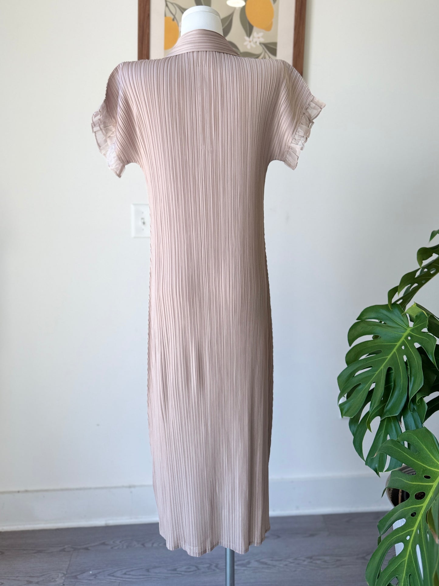 Collar Frill Pleats OPS(~7/11)