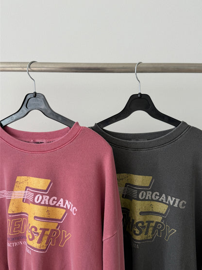 Pigment Corp  MTM