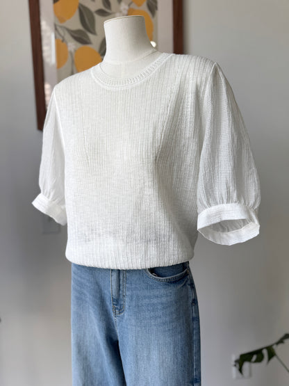 Soft Sleeve Knit Blouse
