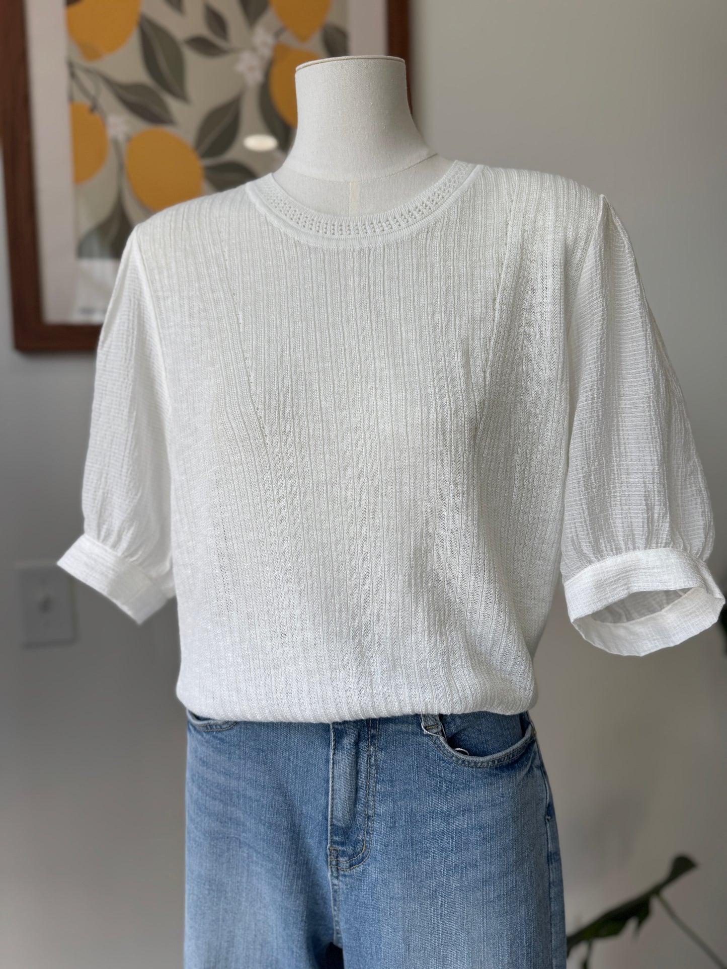 Soft Sleeve Knit Blouse