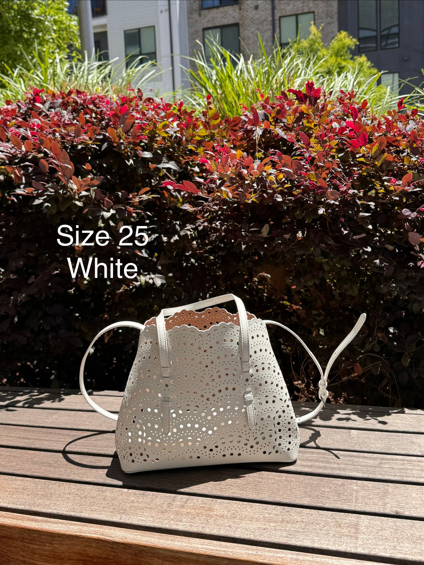 Mina Tote Bag(~5/16)