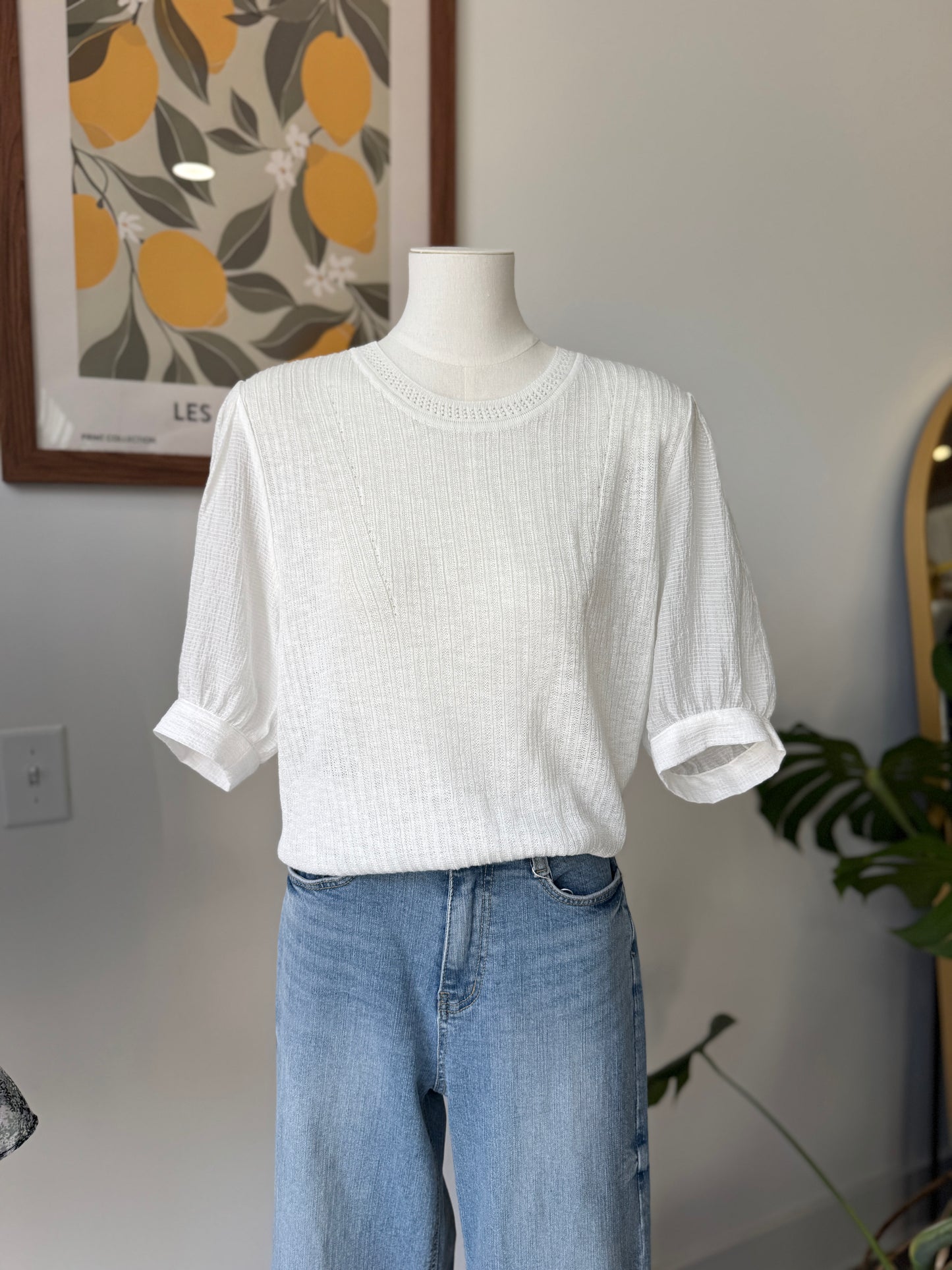 Soft Sleeve Knit Blouse
