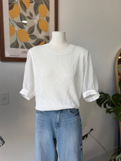 Soft Sleeve Knit Blouse
