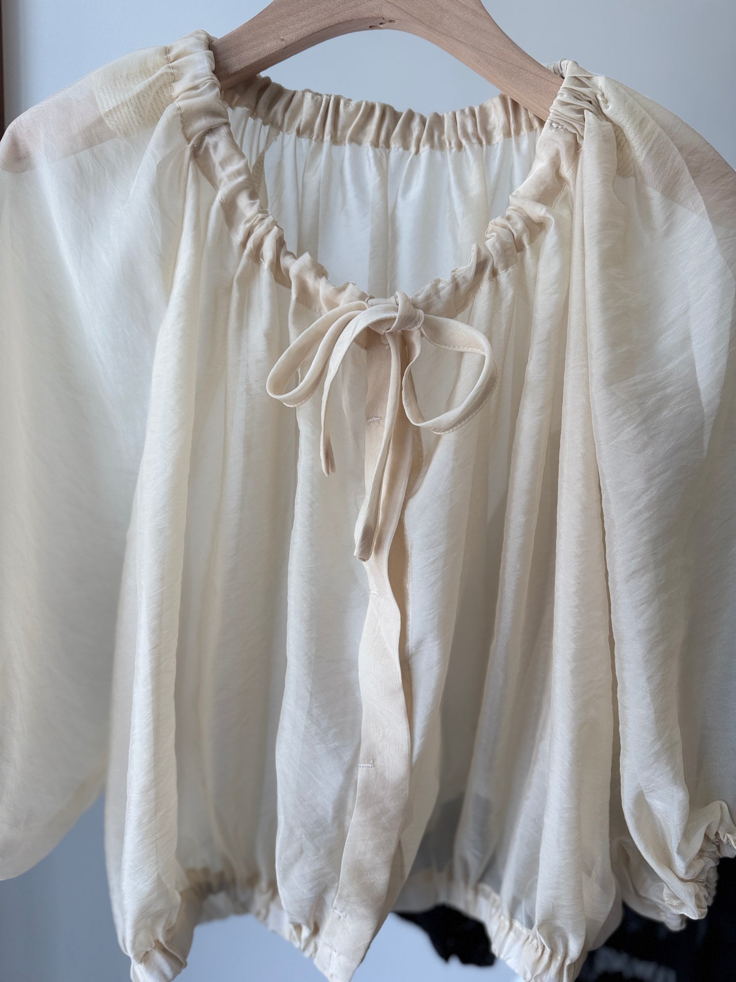 Organza Shirring Blouse