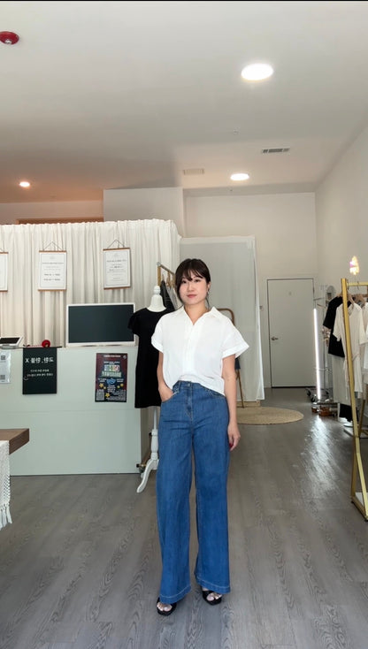 Mini Pintuck Blouse (~6/16)