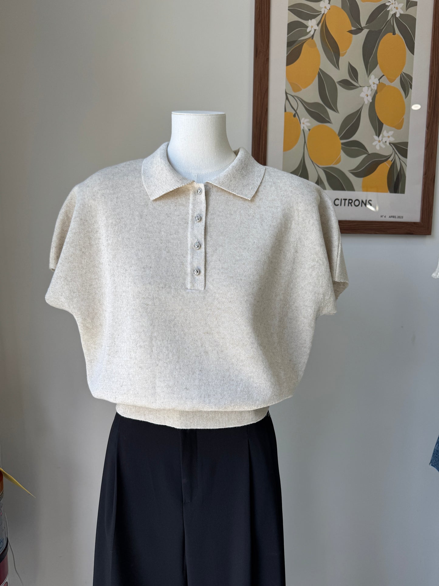 Jewel Collar Knit(~6/13)